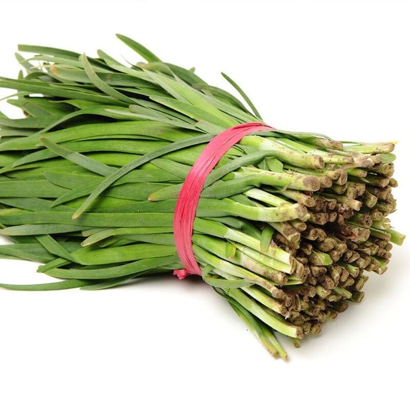 新鲜韭菜山东蔬菜现割现发农家自种食用应季饺子馅鲜嫩头茬韭菜包 1500g